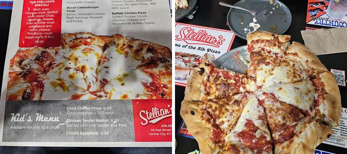 Stellian's
